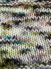 Load image into Gallery viewer, Run Wild Sock Weight Yarn Orli