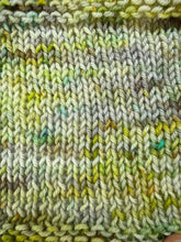 Load image into Gallery viewer, Do It Again Sock Weight Yarn Orli