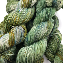 Load image into Gallery viewer, Everglades Sock Weight Yarn Orli