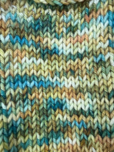 Load image into Gallery viewer, Gibson Sock Weight Yarn Orli
