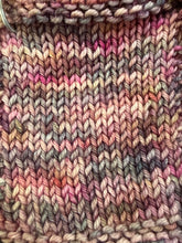 Load image into Gallery viewer, Charlemagne Sock Weight Yarn Orli
