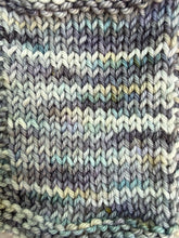 Load image into Gallery viewer, Nebula Sock Weight Yarn Orli
