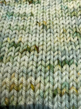 Load image into Gallery viewer, Jade Sock Weight Yarn Orli
