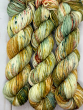 Load image into Gallery viewer, Autumn Harvest DK weight Oneta
