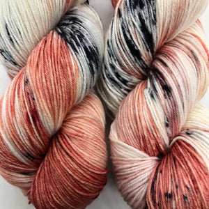 Beauty From Ashes Sock Weight Yarn- Orli